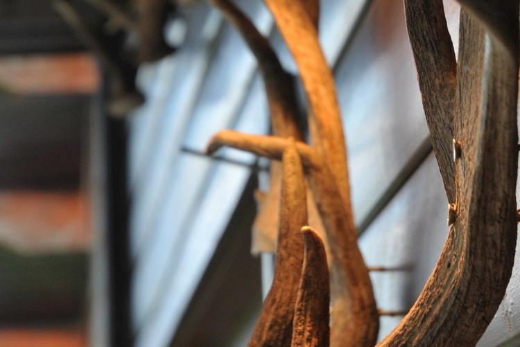 Arbre Dresse Villa Somme-Leuze Værelse billede